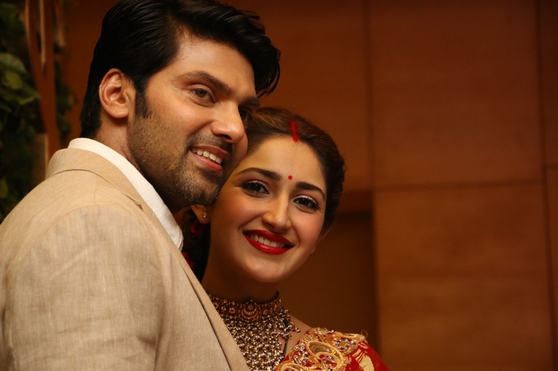 Actor Arya And Sayyesha Reception Photos