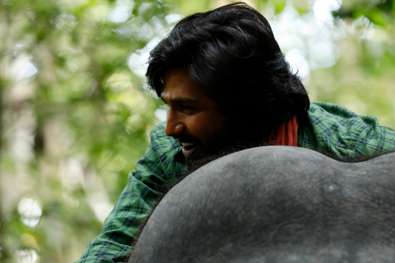 Kaadan Tamil Movie Stills