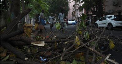 Greater Chennai Corporation Initiates Tree Pruning for Monsoon Preparedness