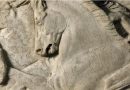 UK-Greece Tensions Escalate Over Parthenon Sculptures