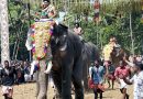 Kerala Government Intervenes in Thrissur Pooram Elephant Fitness Test Controversy