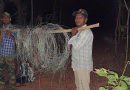 Forest Officers Seize Poaching Wire and Apprehend Culprits in Mahabubabad District