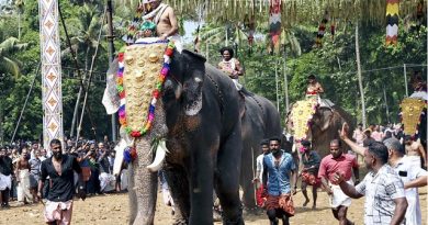Kerala Government Intervenes in Thrissur Pooram Elephant Fitness Test Controversy