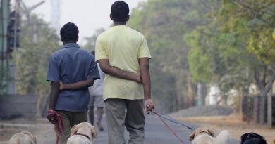 Chennai Implements New Pet Ownership Guidelines