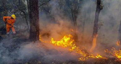 Supreme Court Summons Uttarakhand Chief Secretary Over Forest Fires