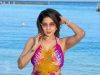 Actress Sakshi Agarwal Latest Photos