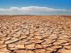 NITI Aayog Collaborates with Gram Panchayats to Enhance Climate Resilience at the Grassroots Level