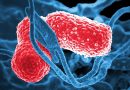 Study Reveals Hidden Virus Common in Germs That Cause Pneumonia