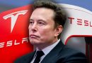 Tesla Chair Calls Report About Replacing Musk as CEO “Absolutely False”