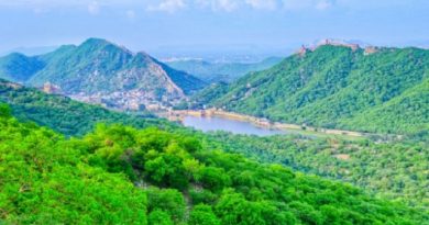 Bhupender Yadav Claims Congress Spreads Aravalli Verdict Misinformation