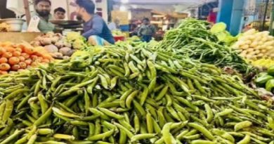 Fresh Green Peas, Butter Beans Flood Chennai Markets
