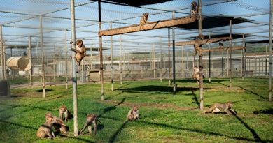 Health Secretary Criticizes Animal Testing Programs