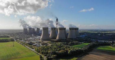 Power Plants Miss Biomass Targets Due To Shortage