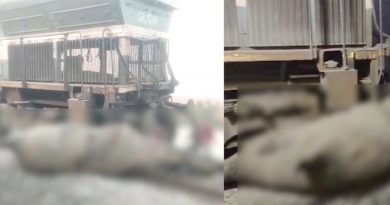 அசாம் மாநிலம் அருகே ராஜ்தானி எக்ஸ்பிரஸ் ரெயில் மோதி 8 யானைகள் உயிரிழப்பு