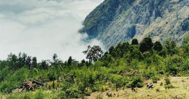 கொடைக்கானல் மற்றும் நீலகிரி மலைப்பகுதிகளில் உரைபனி ஏற்பட வாய்ப்பு – வானிலை ஆய்வு மையம் தகவல்