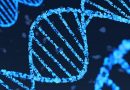 Google DeepMind Unveils AlphaGenome AI for Genetics