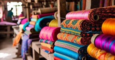 “India’s Textile Sector Doubles in Ten Years”