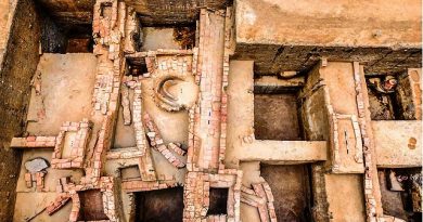 Keeladi Study Reveals Sangam-Era Textile Dyeing