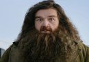 Nick Frost Lands Hagrid Role in Harry Potter