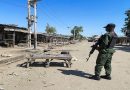 Nine Nigerian Soldiers Killed in Borno Attack