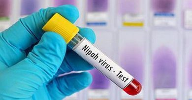Nipah Virus in India: WHO Sees Low Risk