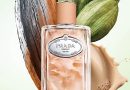 Prada Launches Chai-Scented Perfume for India