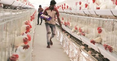 “TN Forms Panels to Address Poultry Farmers’ Issues”