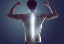 The Human Spine: Built for Daily Movement