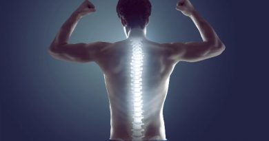 The Human Spine: Built for Daily Movement