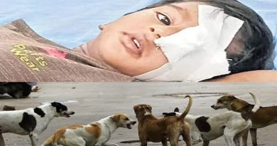 Three-Year-Old Injured in Stray Dog Attack