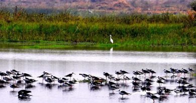 Two Wetlands Added to India’s Ramsar Network