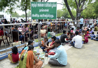 காணும் பொங்கலையொட்டி வண்டலூர் பூங்காவில் சிறப்பு ஏற்பாடு