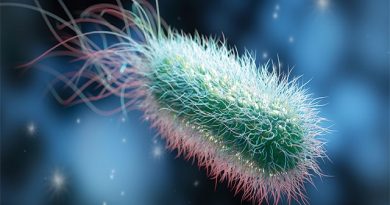 Bacteria: Magical Microbes That Help And Harm