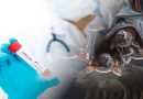 Bangladesh Reports Woman’s Death from Nipah Virus