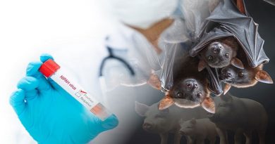 Bangladesh Reports Woman’s Death from Nipah Virus