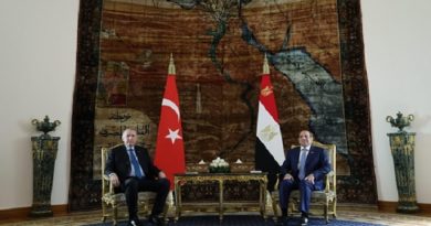Egypt, Turkey Strengthen Political and Economic Ties