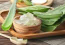 Fresh Aloe Vera vs Store-Bought Gel Benefits