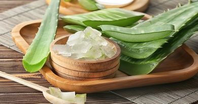 Fresh Aloe Vera vs Store-Bought Gel Benefits