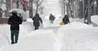 Heavy Snow in Japan Leaves 35 Dead