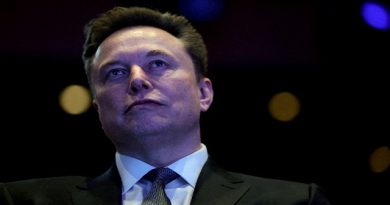 Musk Rejects Claims of Epstein Connection