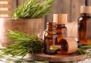 Rosemary and Tea Tree Oils: Hair Benefits Explained