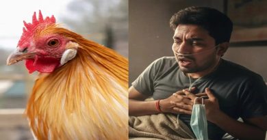 Tamil Nadu Warns Public About Bird Flu Risk