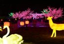 Tamil Nadu’s First Glow Garden Opens Mamallapuram