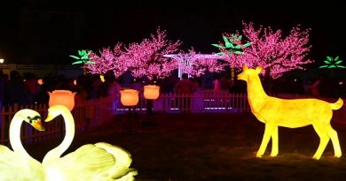 Tamil Nadu’s First Glow Garden Opens Mamallapuram