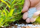 Fertiliser Imports Rise to Meet Growing Demand