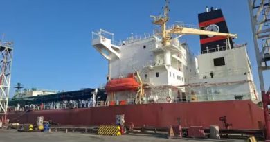 Indian Navy Escorts Ships Through Risky Gulf Waters