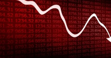 Nifty Falls Sharply, Signals Further Downside Risk