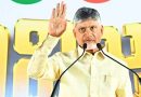 TDP Advances BC Protection Act