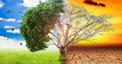 The Hidden Signs of Climate Change
