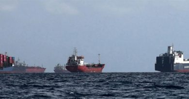 ஹார்முஸ் ஜலசந்தியை மூடிய ஈரான் – 37 இந்திய கப்பல்கள் பாரசீக வளைகுடாவில் சிக்கி தவிப்பு